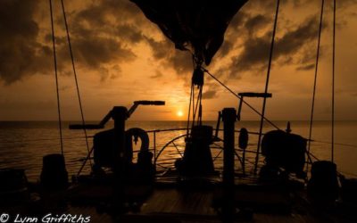 Crewed Yacht Pacific Wave Special BVI Offer