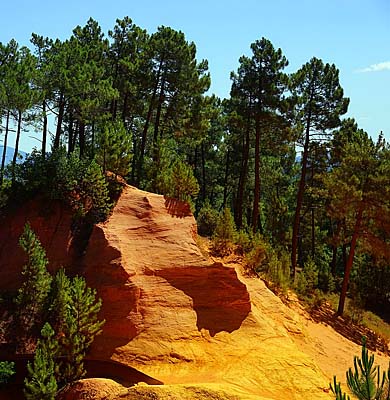 Ochre rocks in the coastal pine forest of the Côte d'Azur